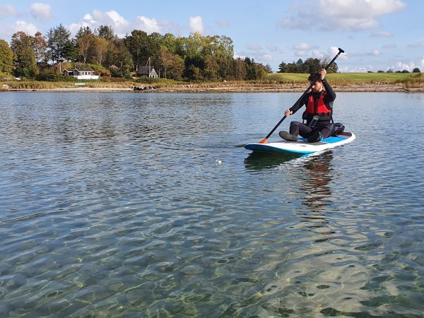 Lej SUP-board - Image 7