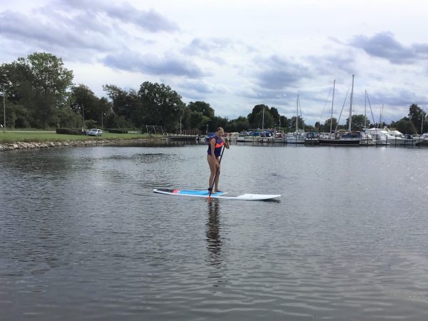 Lej SUP-board - Image 3
